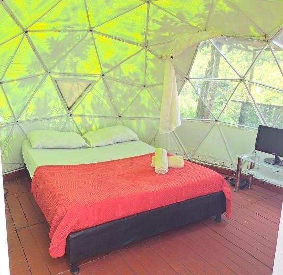 Suite with Terrace, Glamping Horse