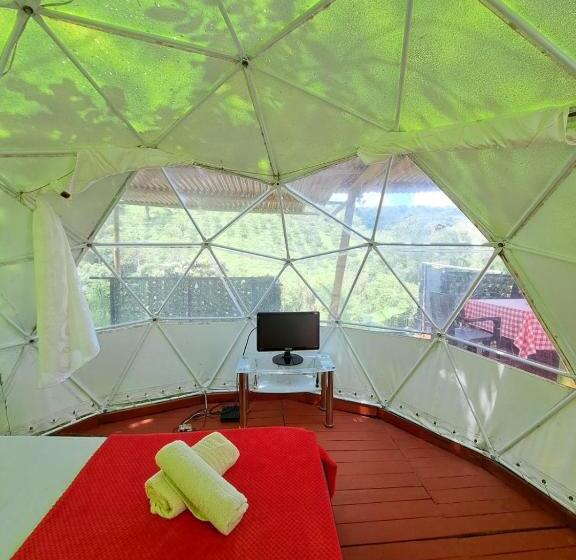 Suite with Terrace, Glamping Horse