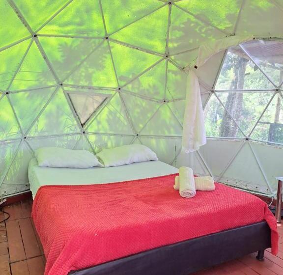 Suite with Terrace, Glamping Horse
