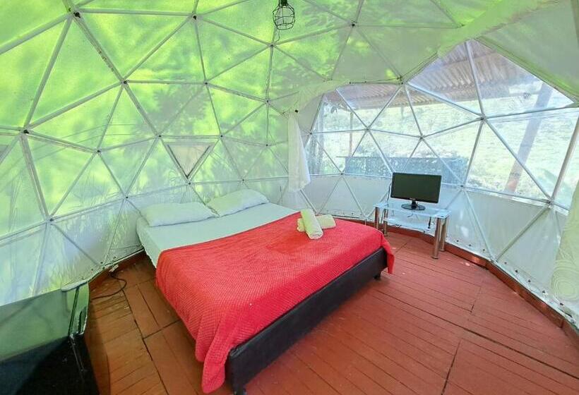 Suite with Terrace, Glamping Horse