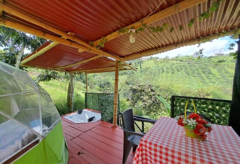 Suite with Terrace, Glamping Horse