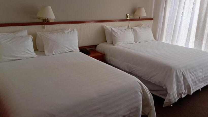 اتاق استاندارد با 2 تخت دوبل, Viña Del Sur