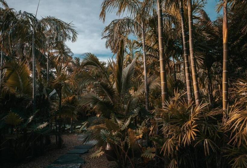 سوئیت با وان آب گرم, Thammachard29 Resort Baangrood