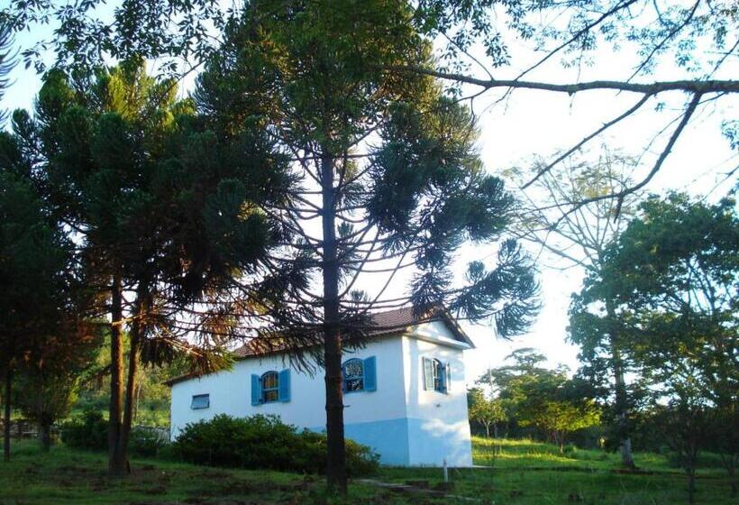 خانه 2 خوابه, Villa Druida
