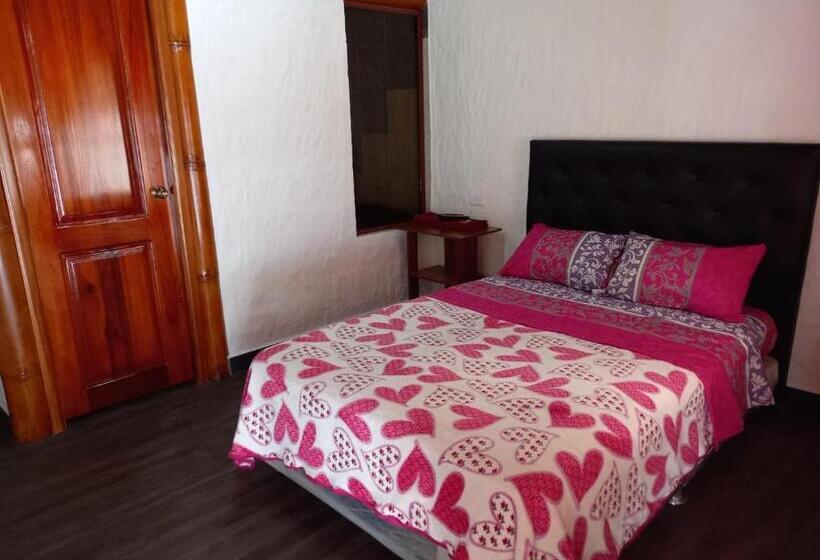 اتاق سوپریور, Hostal Aventura