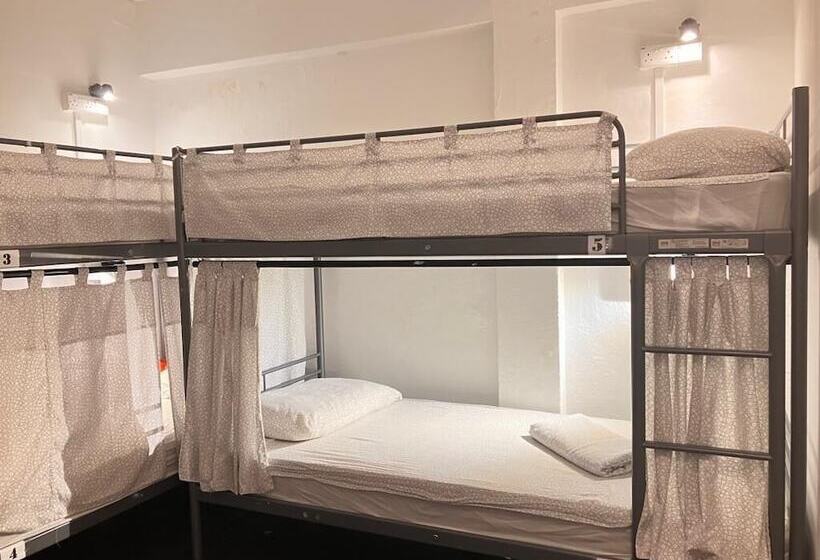تختخواب در اتاق مشترک, Campbell Inn   Hostel