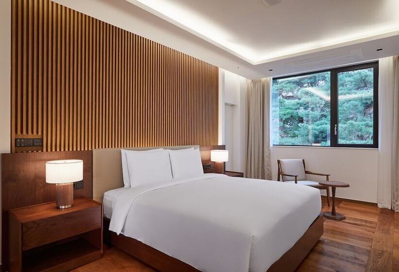 اتاق استاندارد, Paraspara Seoul