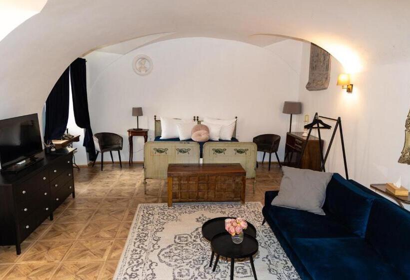 آپارتمان 1 خوابه با تراس, Opera Apartments