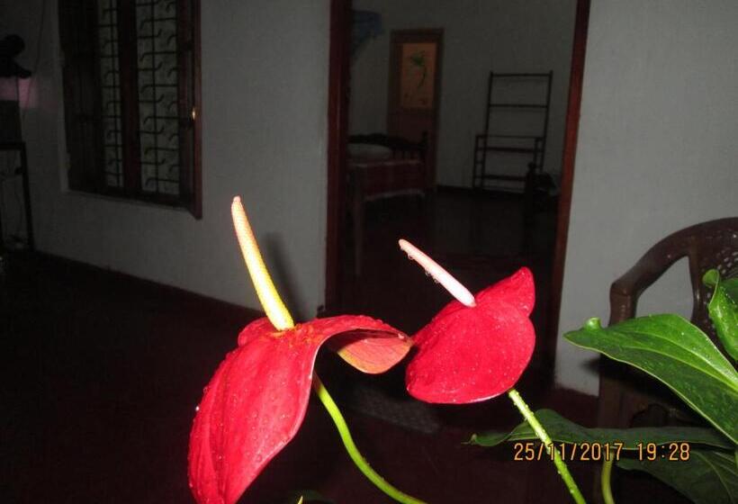 اتاق خانوادگی, Ariyawansa Guest House
