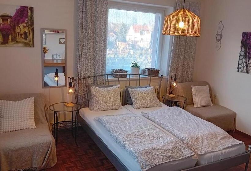 اتاق استاندارد, Penzión Vilka Podhájčanka