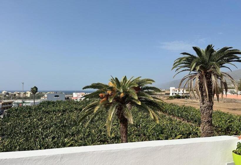 اتاق استاندارد, Alcalá Retreat: Ocean View & Modern Comfort