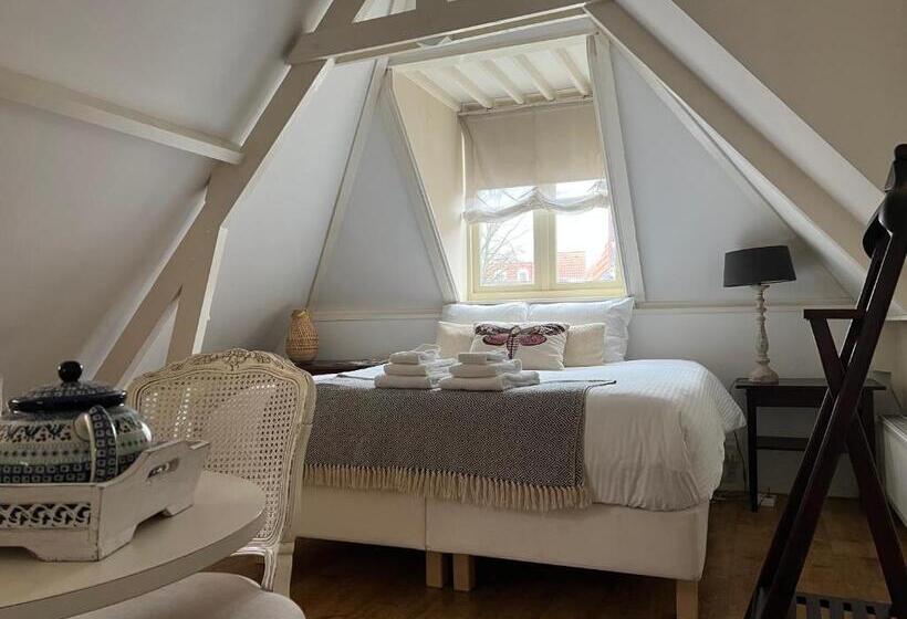 اتاق استاندارد, Monumental House, Apartment In Center Haarlem