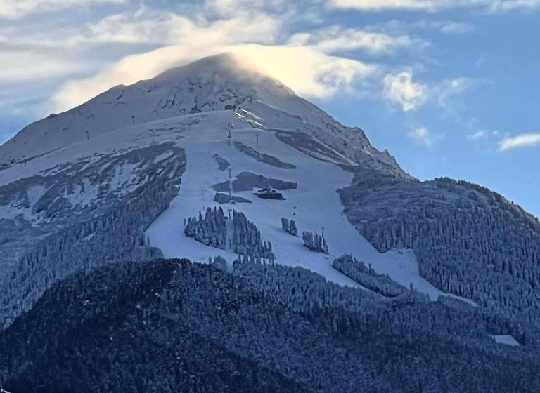 اتاق استاندارد, Chalet Garibaldi   Total Chalets   Fully Catered
