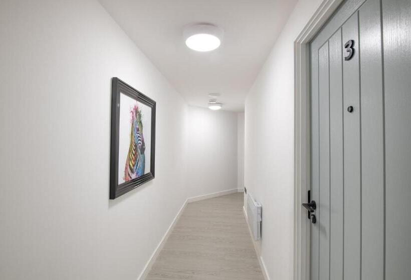 استودیوی استاندارد, Albion Street Studios