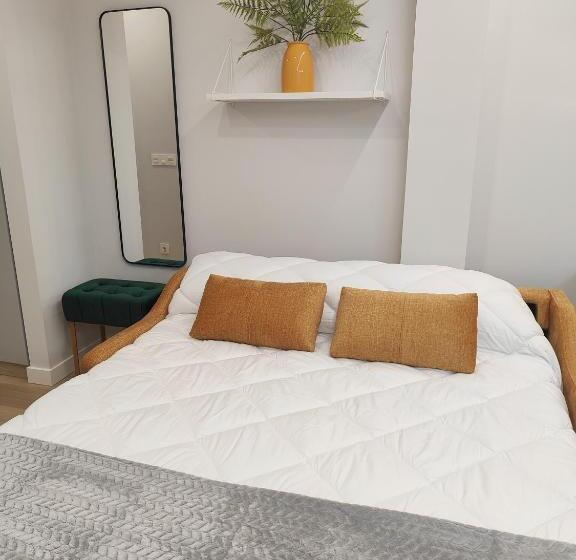 اتاق استاندارد, Apartamentos Centro Oviedo Caveda