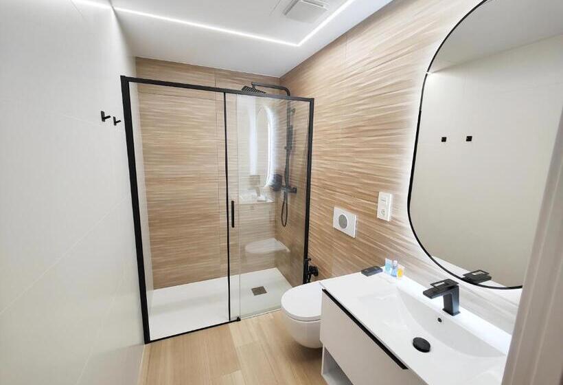 اتاق استاندارد, Apartamentos Centro Oviedo Caveda
