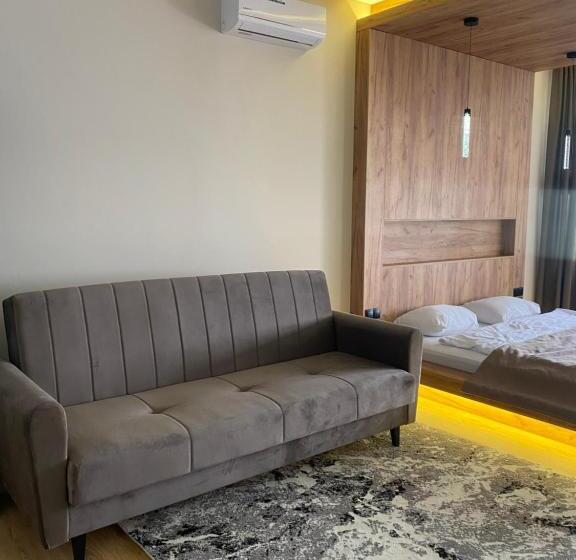 سوئیت با تخت بزرگ, Discovery Garden Apartments