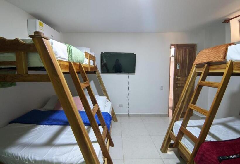 اتاق استاندارد چهار تخته, Dreimar Hotel Boutique