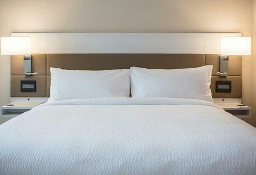 اتاق استاندارد با تخت بزرگ, Ac Hotel By Marriott San Jose Downtown