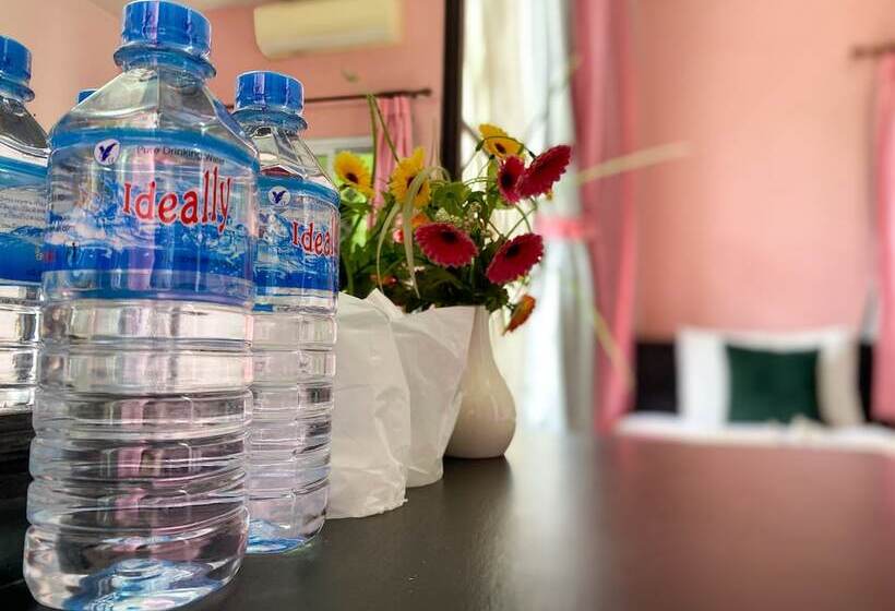 اتاق استاندارد, Mixay Paradise