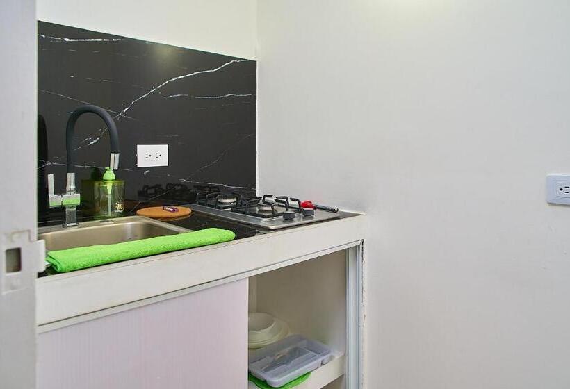 استودیو استاندارد با بالکن, Apartahotel Fiorentina Boutique