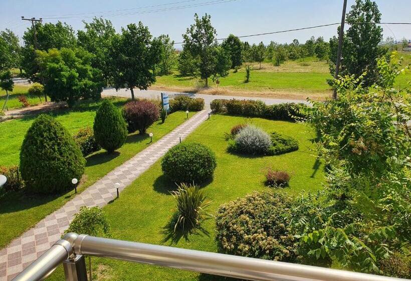 استودیوی استاندارد, Calypso Beach