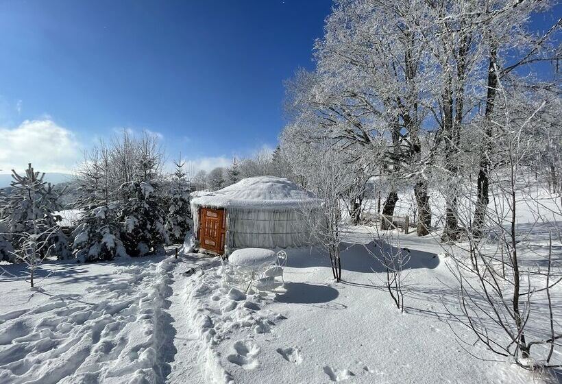 Standard Tent, Eco Yourte Les Airelles