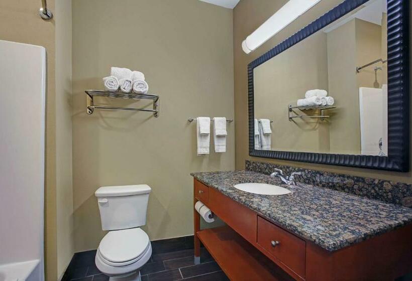 اتاق استاندارد با تخت بزرگ, Studio 6 Odessa, Tx