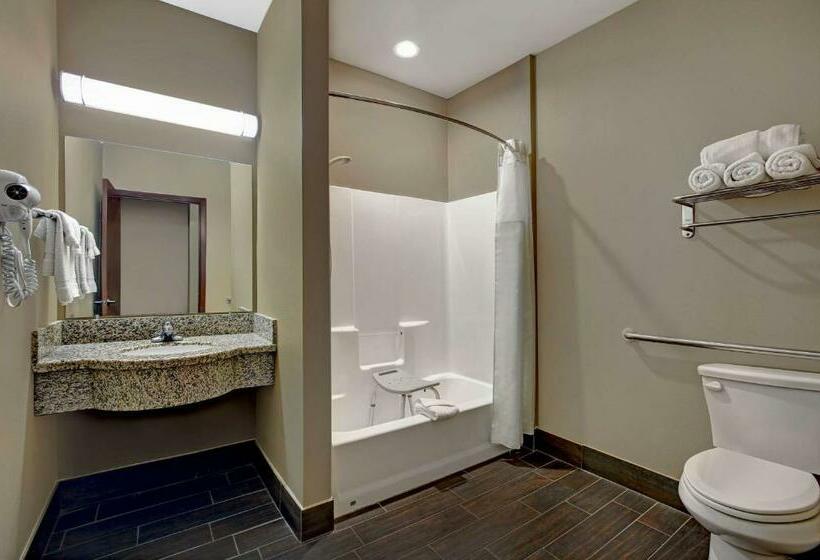 اتاق استاندارد برای معلولان, Studio 6 Odessa, Tx