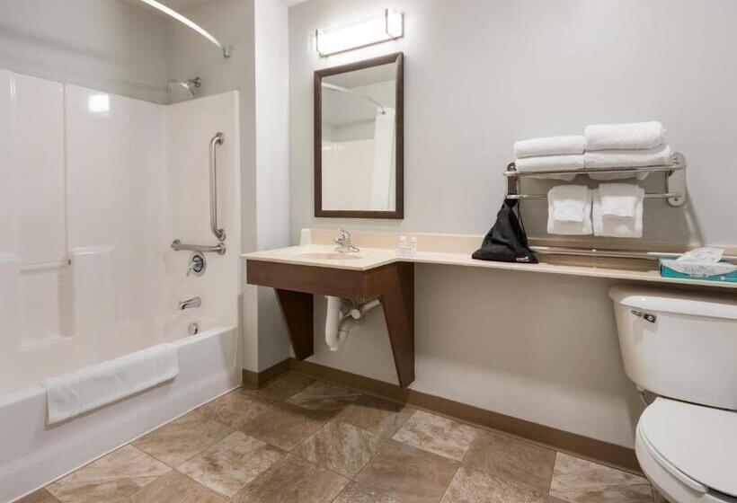 اتاق استاندارد برای معلولان, My Place Hotel Loveland, Co