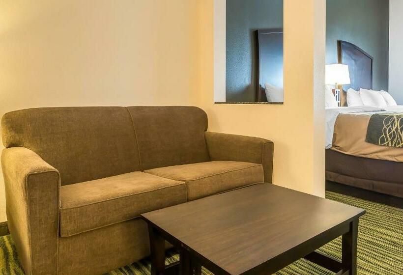 سوییت, Comfort Inn & Suites Moore  Oklahoma City
