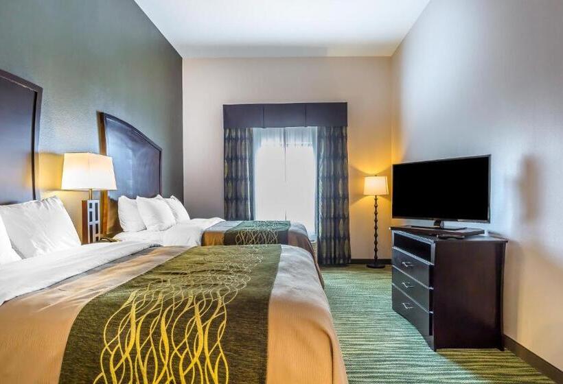 اتاق استاندارد برای معلولان, Comfort Inn & Suites Moore  Oklahoma City