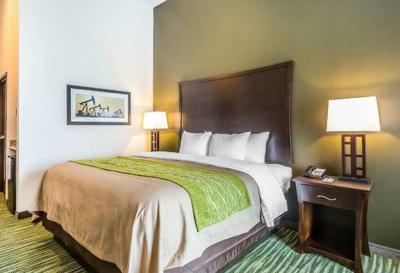 اتاق استاندارد با تخت بزرگ, Comfort Inn & Suites Moore  Oklahoma City