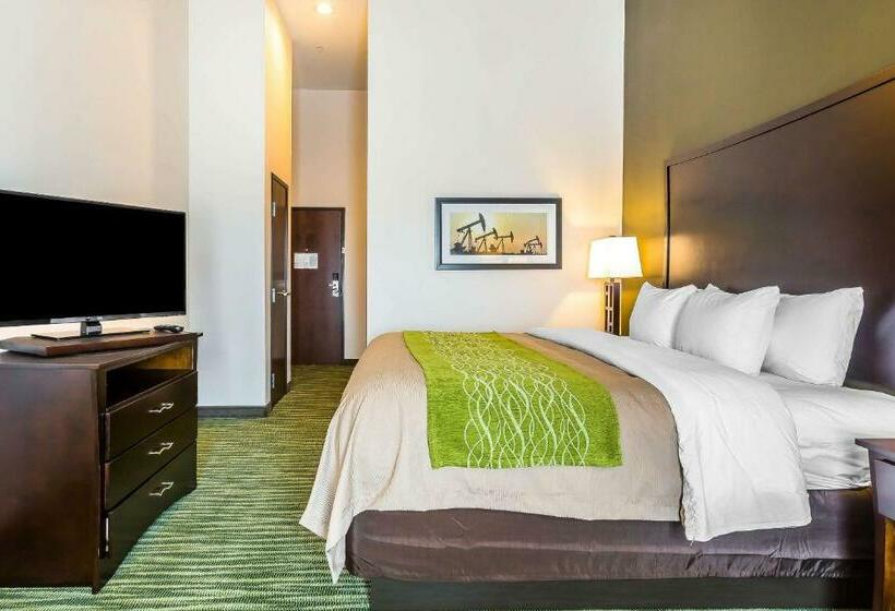 اتاق استاندارد با تخت بزرگ, Comfort Inn & Suites Moore  Oklahoma City