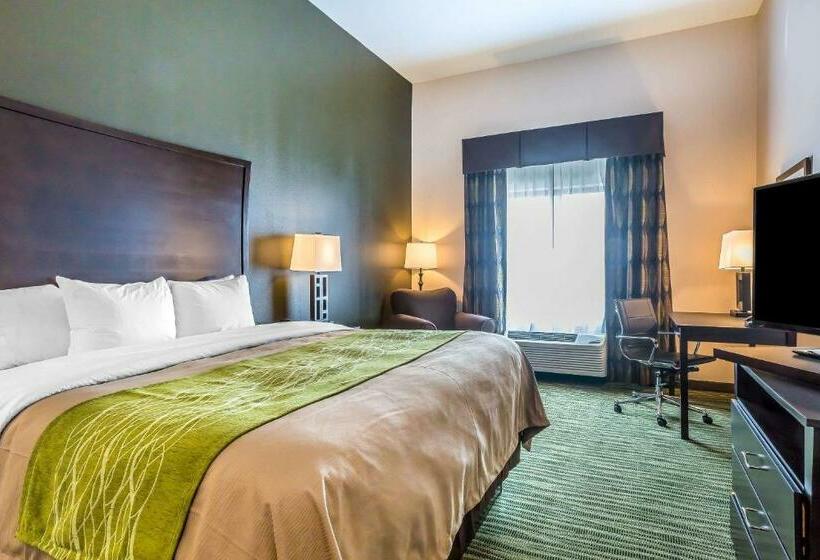 اتاق استاندارد با تخت بزرگ, Comfort Inn & Suites Moore  Oklahoma City