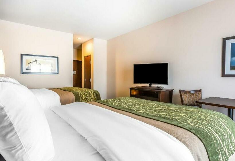 اتاق استاندارد با تخت بزرگ, Comfort Inn & Suites Moore  Oklahoma City