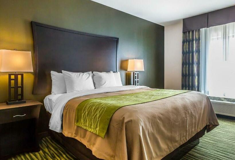 اتاق استاندارد با تخت بزرگ, Comfort Inn & Suites Moore  Oklahoma City