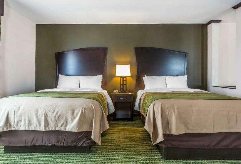 اتاق استاندارد, Comfort Inn & Suites Moore  Oklahoma City