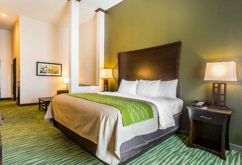 سوئیت با تخت بزرگ, Comfort Inn & Suites Moore  Oklahoma City