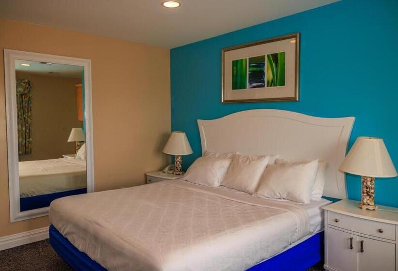 آپارتمان 1 خوابه با چشم‌انداز دریا, The White Sands Resort And Spa