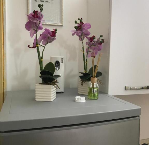 اتاق استاندارد با سرویس بهداشتی مشترک, Vacation Venice Rooms