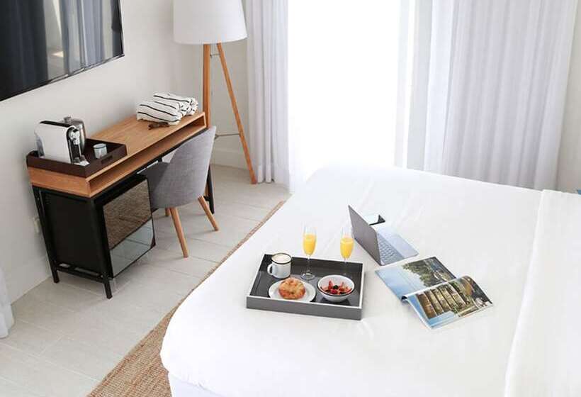 اتاق استاندارد با تخت دوبل, The Meridian Hotel Miami Beach