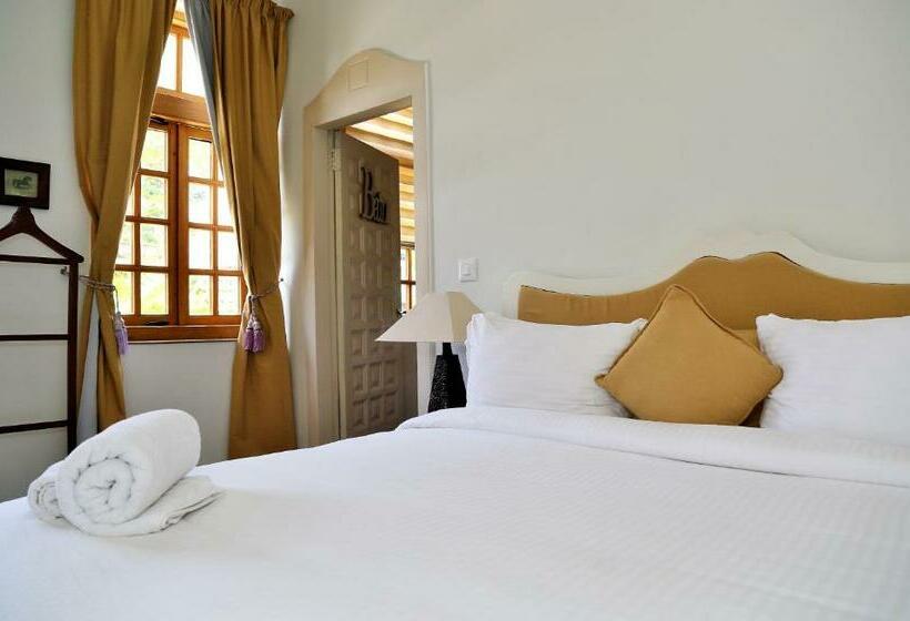 سوییت اجرایی, Olma Colonial Suites