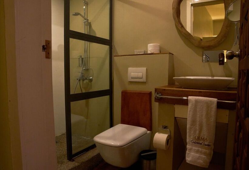 آپارتمان لوکس 2 خوابه, Olma Colonial Suites