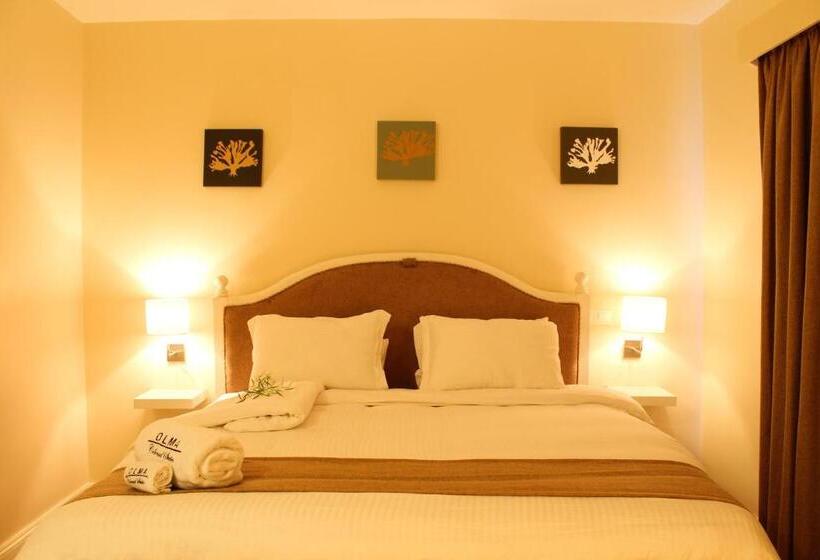 آپارتمان 1 خوابه, Olma Colonial Suites