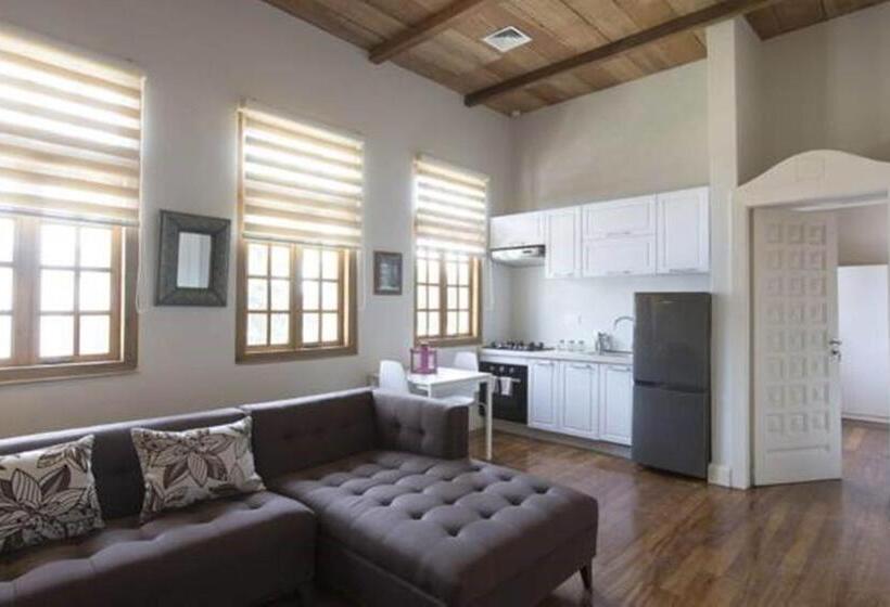 اتاق دوبلکس, Olma Colonial Suites