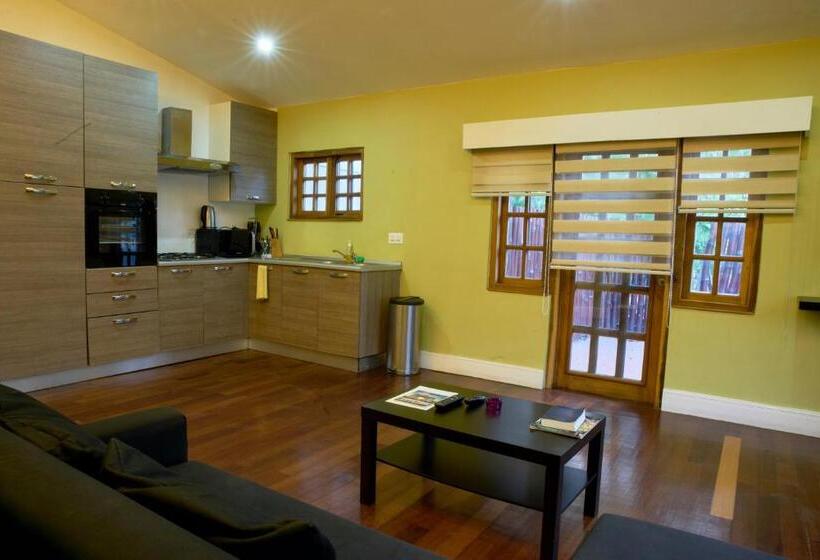 آپارتمان لوکس 2 خوابه, Olma Colonial Suites