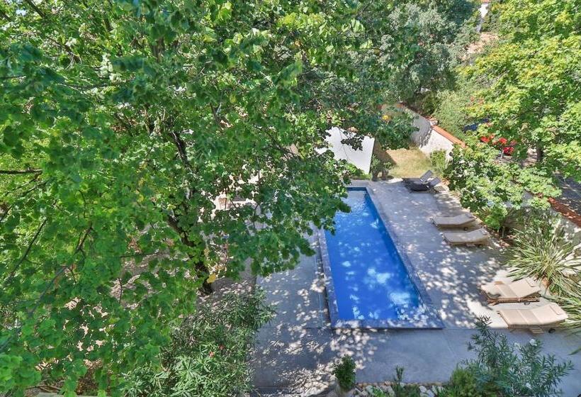 سوئیت با تخت بزرگ, Villa Meridia