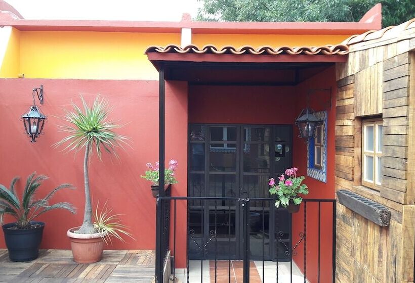 اتاق استاندارد, La Casita De Coyoacán