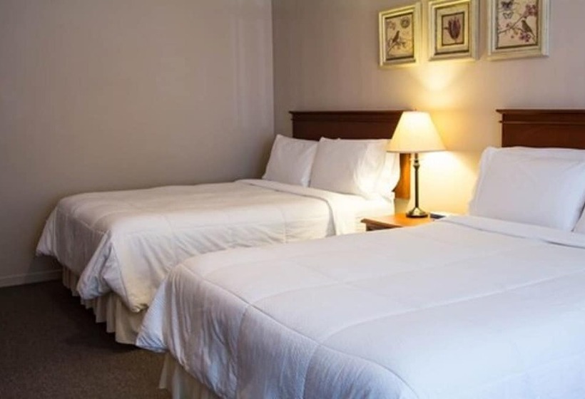 اتاق استاندارد با 2 تخت دوبل, The Sonata Inn